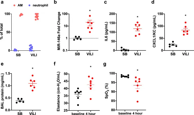 mTORC1 is a mechanosensor that regulates surfactant function and lung compliance during ventilator-induced lung injury.