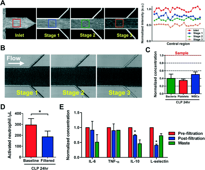 Ventilator-induced lung injury increases expression of endothelial inflammatory mediators in the kidney.