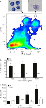 Metabolism, Metabolomics, and Nutritional Support of Patients with Sepsis.