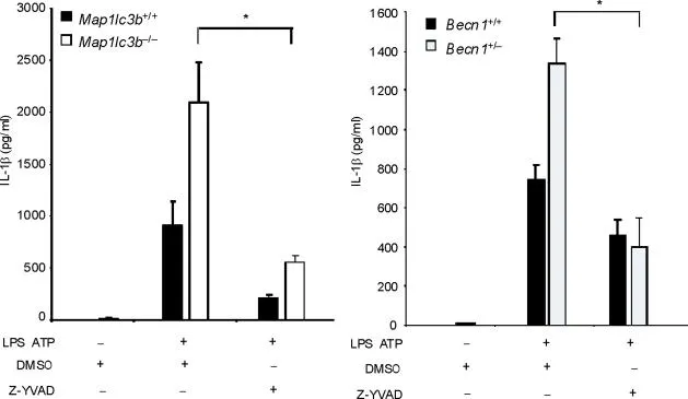 Circadian rhythm reprogramming during lung inflammation.