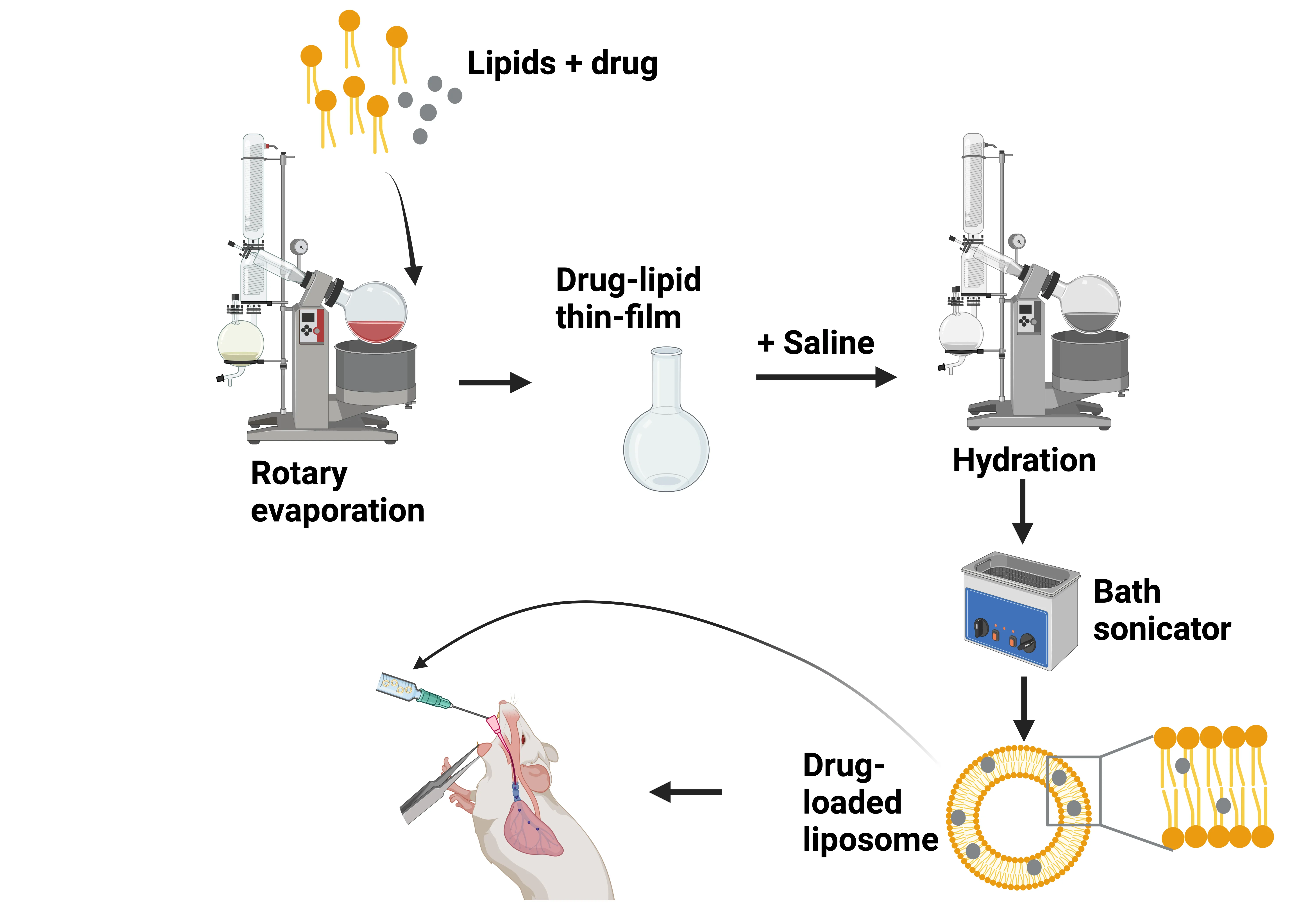 Nanoparticle drug delivery for ARDS